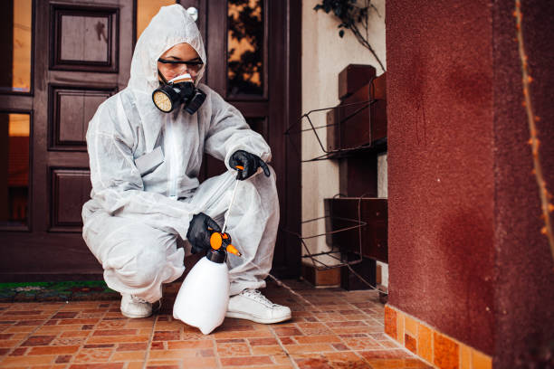 Reliable Cockroach Control contractor in Woodville, TX by Nex Pest Control